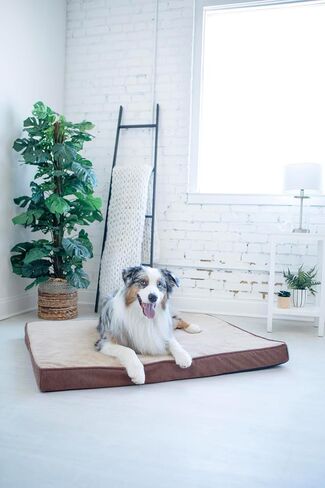 La-Z-Boy Petmate Bentley Orthopedic Foam XX-Large Dog Bed Midnight Blue (50 x 40 x 4 inches) for Dogs up to 125lbs with Supportive Foam Durable Removable Washable Cover in Saudi Arabia