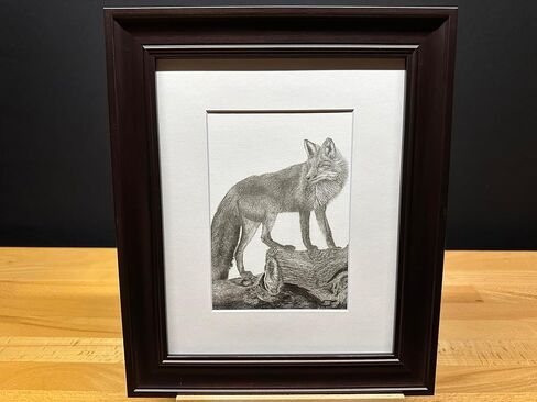 أمريكا الشمالية Red Fox Nature Wildlife Graphite Pencil Art Sketch Drawing Print Picture Limited Edition ~ بعنوان "The Sly One" بقلم David Allen (11x14 White Frame & Print) in Saudi Arabia