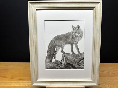 أمريكا الشمالية Red Fox Nature Wildlife Graphite Pencil Art Sketch Drawing Print Picture Limited Edition ~ بعنوان "The Sly One" بقلم David Allen (11x14 White Frame & Print) in Saudi Arabia