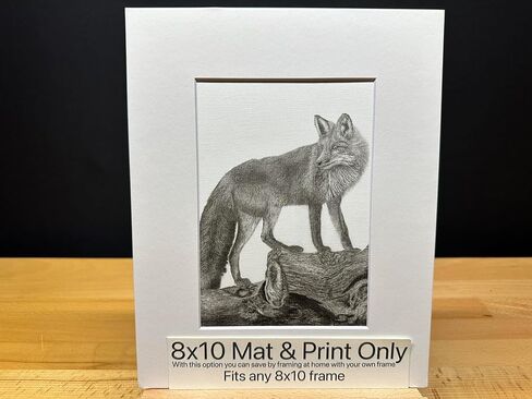 أمريكا الشمالية Red Fox Nature Wildlife Graphite Pencil Art Sketch Drawing Print Picture Limited Edition ~ بعنوان "The Sly One" بقلم David Allen (11x14 White Frame & Print) in Saudi Arabia