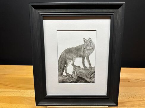 أمريكا الشمالية Red Fox Nature Wildlife Graphite Pencil Art Sketch Drawing Print Picture Limited Edition ~ بعنوان "The Sly One" بقلم David Allen (11x14 White Frame & Print) in Saudi Arabia