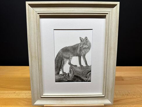 أمريكا الشمالية Red Fox Nature Wildlife Graphite Pencil Art Sketch Drawing Print Picture Limited Edition ~ بعنوان "The Sly One" بقلم David Allen (11x14 White Frame & Print) in Saudi Arabia