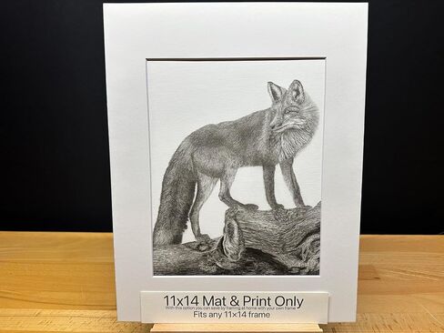 أمريكا الشمالية Red Fox Nature Wildlife Graphite Pencil Art Sketch Drawing Print Picture Limited Edition ~ بعنوان "The Sly One" بقلم David Allen (11x14 White Frame & Print) in Saudi Arabia