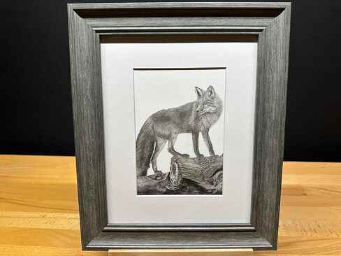أمريكا الشمالية Red Fox Nature Wildlife Graphite Pencil Art Sketch Drawing Print Picture Limited Edition ~ بعنوان "The Sly One" بقلم David Allen (11x14 White Frame & Print) in Saudi Arabia