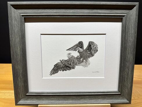 أمريكا الشمالية أصلع Eagles Flight Flight Battle Bird Graphite Pencil Art Sketch رسم طباعة صورة بعنوان "Dominion's Gate" بقلم David Allen (8x10 Mat & Print Only) in Kuwait
