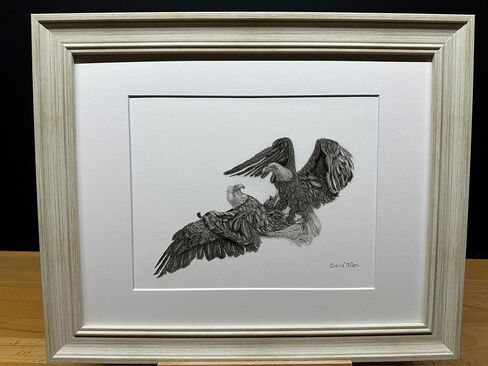 أمريكا الشمالية أصلع Eagles Flight Flight Battle Bird Graphite Pencil Art Sketch رسم طباعة صورة بعنوان "Dominion's Gate" بقلم David Allen (8x10 Mat & Print Only) in Kuwait