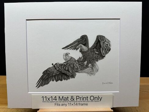 أمريكا الشمالية أصلع Eagles Flight Flight Battle Bird Graphite Pencil Art Sketch رسم طباعة صورة بعنوان "Dominion's Gate" بقلم David Allen (8x10 Mat & Print Only) in Kuwait