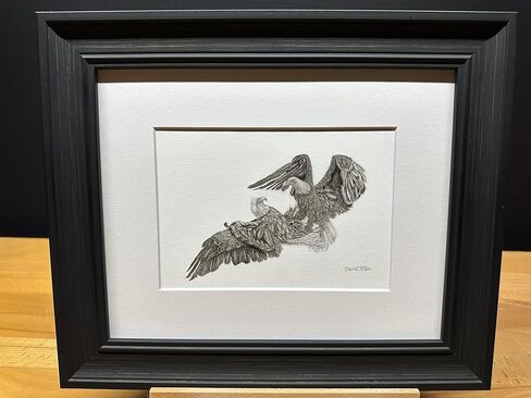 أمريكا الشمالية أصلع Eagles Flight Flight Battle Bird Graphite Pencil Art Sketch رسم طباعة صورة بعنوان "Dominion's Gate" بقلم David Allen (8x10 Mat & Print Only) in Kuwait