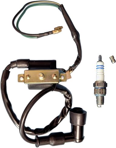 50cc 70cc 90cc 110cc 125cc coil for Coolster ATV-3050B 3050B Kids 4 Quad Four Wheeler Roketa Taotao DB10 Cheetah Baja Kazuma Meerkat 50 Falcon 90 Apollo DB21 Kids ATV Dirt Bike Parts in Kuwait