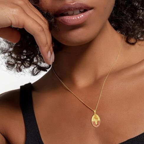 AENEAS Virgin Mary Necklace for Women Sterling Silver Gold Plated Virgen de Guadalupe Pendant Rose Jewelry Baptism Faith Religious Mother's Day Gifts in Kuwait