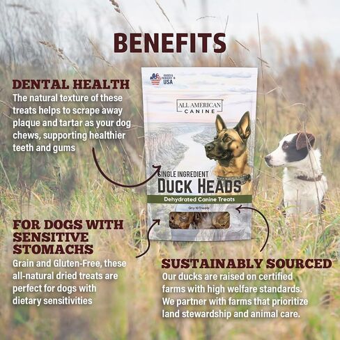 Duck Heads Natural Single Ingredient Chewy Digestible Low-Fat Dehydrated Dog Treats for Training, Rewarding, Teeth Cleaning - 10 Treats in Saudi Arabia