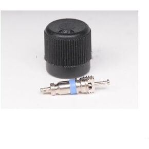 Fuel Injection Fuel Pressure Service Kit for 1996-2006, 2008-2009 Chevrolet Express 3500 in Kuwait