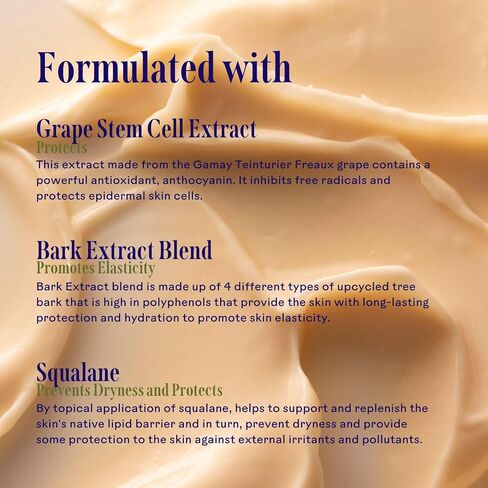 Three Ships Radiance Grape Stem Cell + Squalane Day Cream – Vegan Facial Moisturizer Hydrates & Balances Skin – As Seen on TV – Natural Face Lotion for All Skin Types, 50g in Saudi Arabia