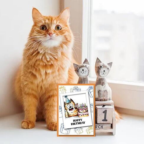 GLOBLELAND Funny Cat Clear Stamps Action Cat Silicone Clear Stamp Seals Cartoon Cat Transparent Stamps for DIY Scrapbooking Cards Making Photo Album Journal Home Decoration 8.27x5.83 inch in Saudi Arabia