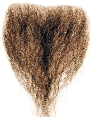 Chest Hair Color Black Fake Bushy Human Hair Fiber Macho Man She-Man Cosply Merkin Dress Fancy #947 in Saudi Arabia