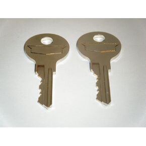 Airstream 1970 1971 1972 1973 1974 1975 1976 1977 1978 Access Door/Trunk 2 Keys in Saudi Arabia