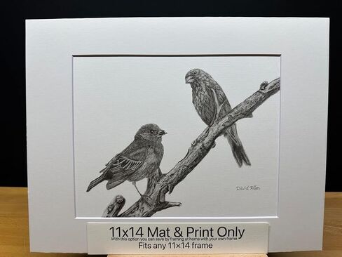 Hand Drawn Male & Female Finch Birds Graphite Pencil Sketch Drawing Print Picture Limited Edition Titled 'Nature’s Duet' by David Allen (8x10 Gray Frame & Print) in Saudi Arabia