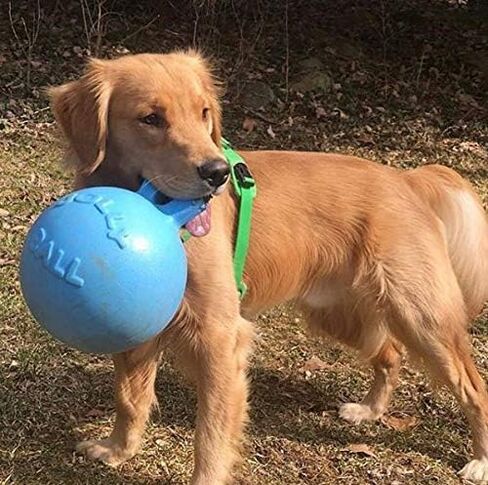 Jolly Pets Tug-n-Toss - Heavy Duty Chew Ball w/ Handle (Red, 8") in Kuwait
