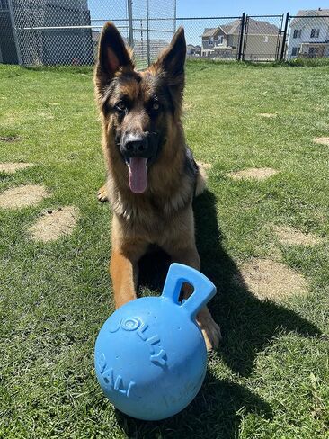 Jolly Pets Tug-n-Toss - Heavy Duty Chew Ball w/ Handle (Red, 8") in Kuwait