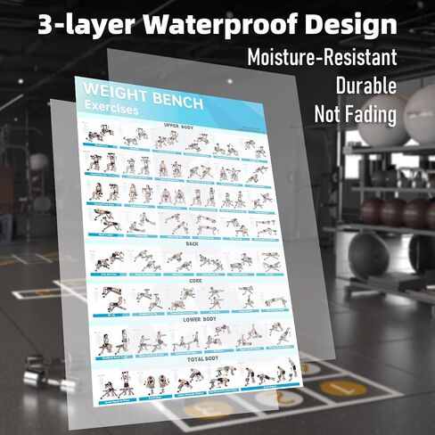Fitness Bench Poster Adjustable Benches Poster in Saudi Arabia