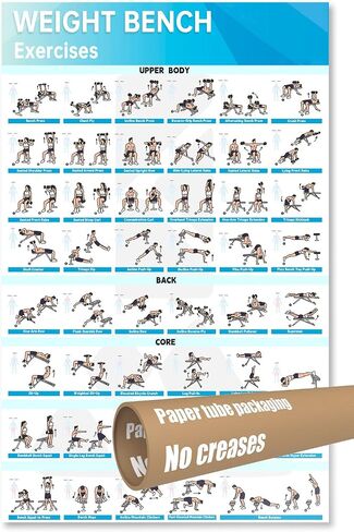 Fitness Bench Poster Adjustable Benches Poster in Saudi Arabia