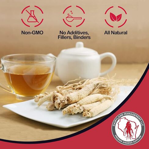 Dairyland American Ginseng Extract 2 fl Oz 西洋参提取物 ، سائل الجينسنغ الأصيلة في ويسكونسن للحصول على طاقة صحية ، حيوية ، مزاجية ، غير محددة للوقت المعدلة وراثيا ، مكمل عشب الجينسنغ للاستخدام اليومي in Kuwait