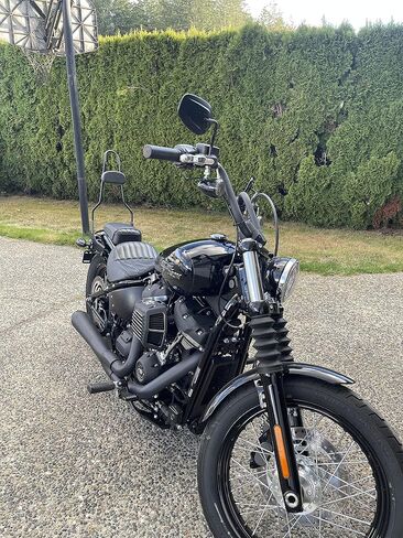 BANT BACKREST SISSY طويل القابل للانفصال مع PAD متوافق مع 2018-2022 HARLEY SOFTAIL Deluxe Heritage Classic Street Bob إلخ in Saudi Arabia