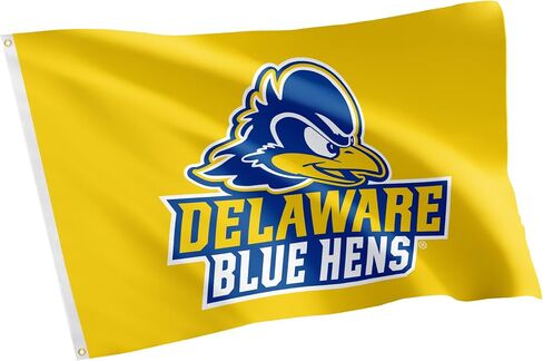 لافتات علم جامعة ديلاوير صبار الصحراء Fightin Blue Hens UD Flag 100% بوليستر للاستخدام الداخلي والخارجي 3x5 أقدام (النمط A) in Kuwait