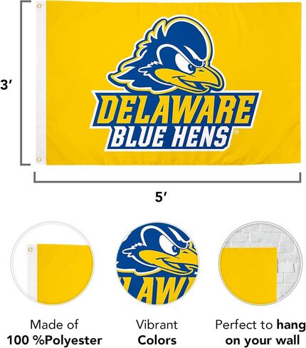 لافتات علم جامعة ديلاوير صبار الصحراء Fightin Blue Hens UD Flag 100% بوليستر للاستخدام الداخلي والخارجي 3x5 أقدام (النمط A) in Kuwait