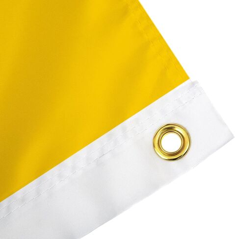 لافتات علم جامعة ديلاوير صبار الصحراء Fightin Blue Hens UD Flag 100% بوليستر للاستخدام الداخلي والخارجي 3x5 أقدام (النمط A) in Kuwait