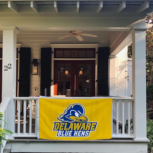 لافتات علم جامعة ديلاوير صبار الصحراء Fightin Blue Hens UD Flag 100% بوليستر للاستخدام الداخلي والخارجي 3x5 أقدام (النمط A) in Kuwait