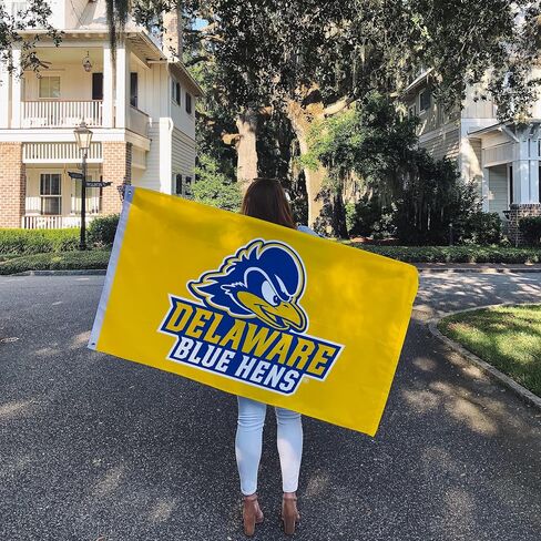 لافتات علم جامعة ديلاوير صبار الصحراء Fightin Blue Hens UD Flag 100% بوليستر للاستخدام الداخلي والخارجي 3x5 أقدام (النمط A) in Kuwait