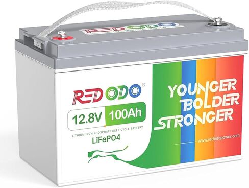 Redodo 12V 100Ah LiFePO4 Battery, Rechargeable Lithium Iron Phosphate Battery, Built-in 100A BMS, 4000-15000 Deep Cycles & 10-Year Lifetime, Perfect for RV, Camping, Solar Home etc. in Saudi Arabia