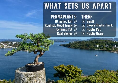 شجرة بونساي الاصطناعية 16 بوصة مع خشب واقعي ووعاء من السيراميك نباتات مزيفة Cypress Juniper Pine Zen Faux Plants for Home Bedroom Office Decor in Saudi Arabia