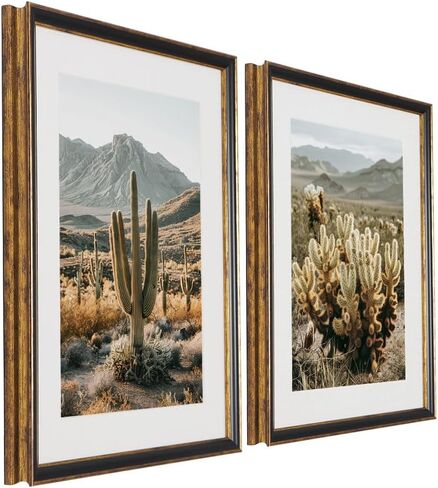 Framed Cactus Landscape Wall Art Set of 2 – Saguaro Wall Decor Prints Framed Natural Vintage Southwest Style Wall Decor for Living Room, Bedroom, or Office – 16"x20"x2 in Kuwait