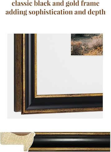 Framed Cactus Landscape Wall Art Set of 2 – Saguaro Wall Decor Prints Framed Natural Vintage Southwest Style Wall Decor for Living Room, Bedroom, or Office – 16"x20"x2 in Kuwait