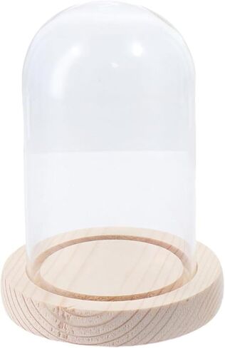 قبة زجاجية شفافة، قطعة مركزية على شكل جرس زجاجي على شكل قبة مع قاعدة خشبية، سهلة الاستخدام، حافظة عرض عملية على شكل جرس زجاجي لتخزين الزهور وديكور المنزل (8.3 × 3.5 بوصة) in Kuwait