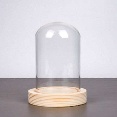 قبة زجاجية شفافة، قطعة مركزية على شكل جرس زجاجي على شكل قبة مع قاعدة خشبية، سهلة الاستخدام، حافظة عرض عملية على شكل جرس زجاجي لتخزين الزهور وديكور المنزل (8.3 × 3.5 بوصة) in Kuwait