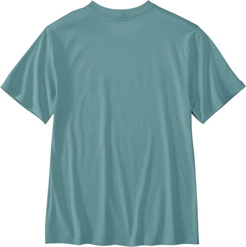Carhartt Men 106774 مريح ملاءمة خفيفة الوزن Hamilton Graphic T-S in Kuwait
