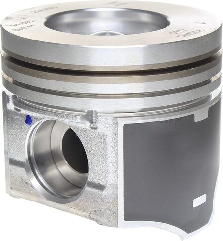 Mahle S224-3503 محرك مكبس المحرك in Saudi Arabia