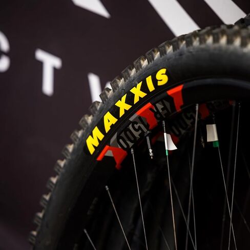 Maxxis Rekon Dual Compound/Exo/Tr 29 Plus Tire Black/F60, 29X2.8 in Saudi Arabia