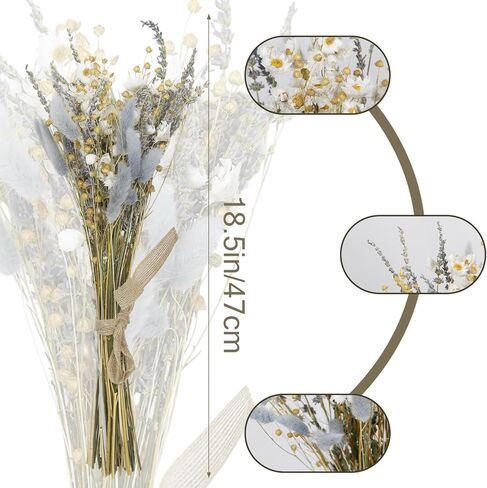 CISDUEO Dried Flowers Bouquet Dried Daisy Flowers Natural Lavender Bundles Dried Gerber Daisies Flowers Grey Bunny Tails Floral Arrangements for Wedding Table Centerpiece Decor Farmhouse DIY in Saudi Arabia