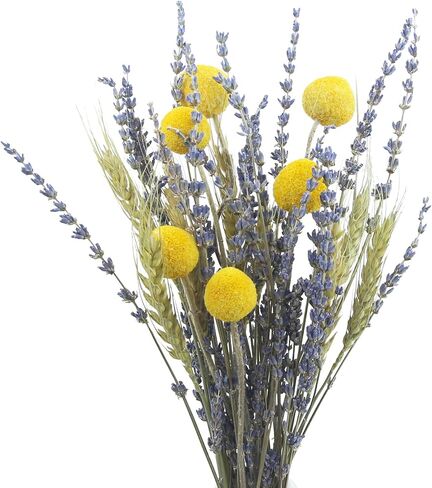CISDUEO Dried Flowers Bouquet Dried Daisy Flowers Natural Lavender Bundles Dried Gerber Daisies Flowers Grey Bunny Tails Floral Arrangements for Wedding Table Centerpiece Decor Farmhouse DIY in Saudi Arabia