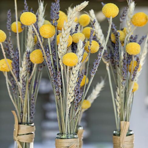CISDUEO Dried Flowers Bouquet Dried Daisy Flowers Natural Lavender Bundles Dried Gerber Daisies Flowers Grey Bunny Tails Floral Arrangements for Wedding Table Centerpiece Decor Farmhouse DIY in Saudi Arabia