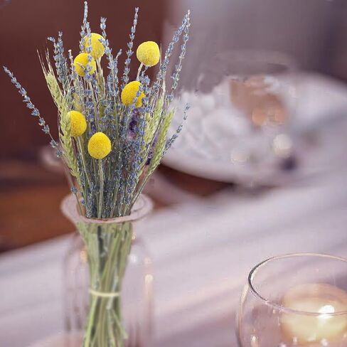 CISDUEO Dried Flowers Bouquet Dried Daisy Flowers Natural Lavender Bundles Dried Gerber Daisies Flowers Grey Bunny Tails Floral Arrangements for Wedding Table Centerpiece Decor Farmhouse DIY in Saudi Arabia