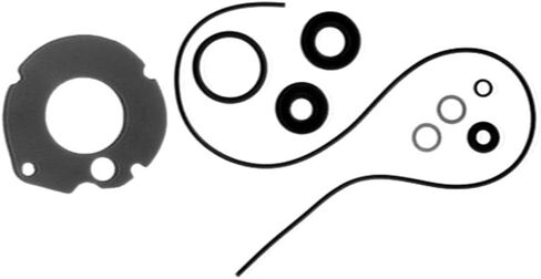 Sierra International 18-2681 Marine Lower Unit Seal Kit for Johnson/Evinrude Outboard Motor in Saudi Arabia