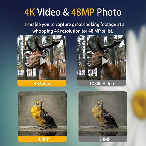 Trail Camera - 4k 48mp Trail Cameras With Night Vision Motion Activated Waterproof 40pcs No Glow Infrared Leds 0.2s Trigger Motion Activated Ip66 Waterproof 120°Wide-Angle For Outdoor Wildlife Monitor in Saudi Arabia