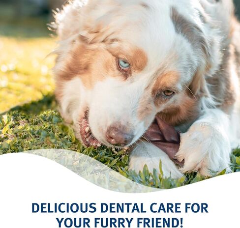 مكافآت الكلاب بالكولاجين من لحم البقر المضفر من مون آمي مع الخضار (6 بوصات) - أعواد الكولاجين للكلاب المصنوعة من لحوم البقر التي تتغذى على العشب مع الجلوكوزامين والكوندرويتين - مكافآت طبيعية للكلاب in Kuwait