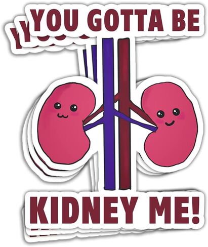 (3 قطع) ملصق You've Gotta Be Kidney Me ملصقات الكلى المبتسمة اللطيفة لأمراض الكلى وزراعة الكلى وغسيل الكلى وهدايا الممرضات وديكورات لزجاجات الكمبيوتر المحمول وملصقات نافذة السيارة in Kuwait