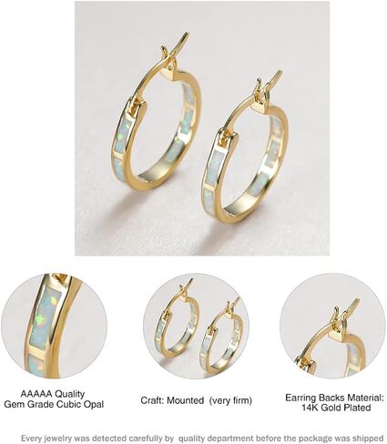 Life Stage White/Blue Created-Opal 925 Sterlg Silver Round Hoop Dangle Earrings Women's Fashion Jewelry White one Size in Saudi Arabia